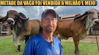 ROTINA NA FAZENDA COM ANIMAIS DE MILHÕES - TAMBURIL