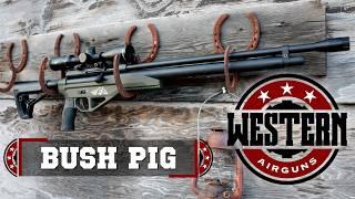 Best .45 Caliber Airgun = Western Bushbuck and Bushpig Carbine!