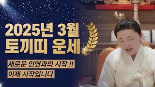 2025년 3월달 토끼띠운세!! 새로운인연과의 시작 이제 시작입니다!!