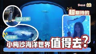 深圳最大型海洋主題公園「小梅沙海洋世界」隆重登場｜全國最大圓柱魚缸上演沙甸魚風暴｜肥嘟嘟嘅海獅｜可愛小企鵝｜近距離互動魔鬼魚｜震撼眼球白鯨魚｜美人魚表演｜水母館｜深圳市鹽田區｜親子好去處｜拍拖打卡景點