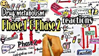 Biotransformation of drugs -part 2 | phase 1 & 2 reactions | Pharmacokinatic