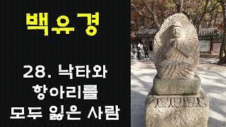 [백유경] 28. 낙타와 항아리를 모두 잃은 사람 양산 통도사 홍매화/통도사 금강계단/산사, 한국의 산지승원/인간의 어리석음에 관한 비유