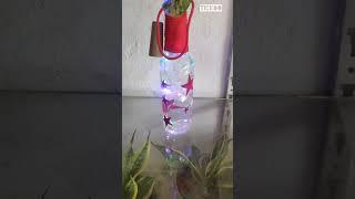money plant#indoot pots shop#light pot#wood pot# wall hanging pot with money plant