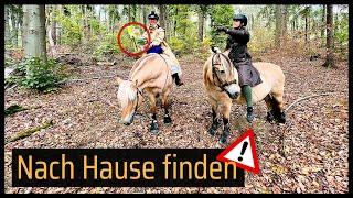  Ausgesetzt: Mit den Ponys nach Hause finden  // Blondis auf Fjordis