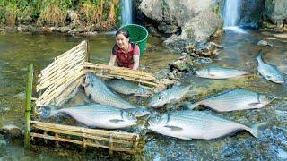 I Caught Many HUGE WILD FISH in the River | Survival Fishing, Traps Fish, Catch Fish