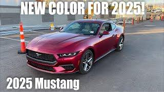 2025 Ford Mustang EcoBoost Review + Drive! | What’s NEW?