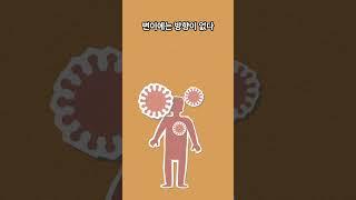 인도양 모리셔스 섬의 도도새