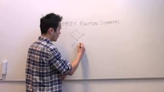 What are complex adaptive systems?