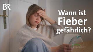 Fieber senken - Wann ist das sinnvoll? | Heiße Stirn, Schüttelfrost, Gliederschmerzen | Gesundheit