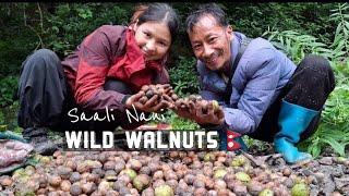 Wild Walnuts Hunting, Village Life 