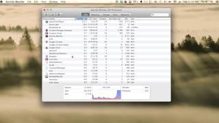 Is there a Task Manager for the Mac