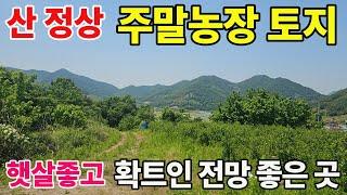 2055.산 정상 나 만의 주말농장 토지 전망 최고 힐링 토지 #밀양농막토지#밀양주말농장토지#밀양토지#밀양부동산