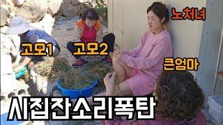 시집잔소리폭탄/살려주세요/1인가구의삶/윤서하고싶은거다해