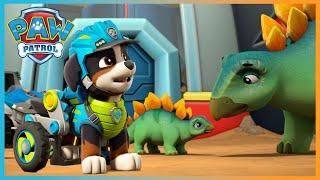 Dino Rescue Pups save the baby dinosaur eggs and more episodes! - PAW Patrol - Cartoons for Kids