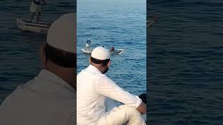 Encircling gillnet ️ at Androth #androth