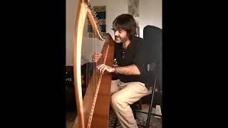 Mag Siola (The level plain) Irish harp.