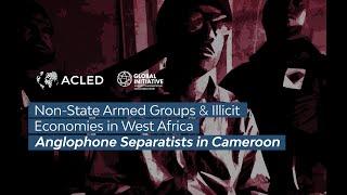 Non-State Armed Groups & Illicit Economies in West Africa: Anglophone Separatists in Cameroon