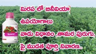 FMC Benevia uses | benevia uses in telugu | fmc benevia telugu | mirapa lo benevia uses | Benevia