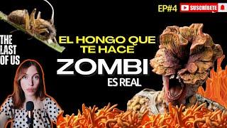 APOCALIPSIS Z0MBIE por hongos | ¿EL CORDYCEPS podría destruir a la humanidad? | PodKat Ep4