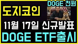 도지코인 일론머스크 11월 17일 DOGE ETF 출시 된다? 팩트체크 해보겠습니다.