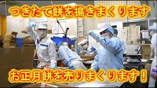 朝？２時出社で林さんちの一番長い一日の始まりです・つきたて餅の大量製造＆販売です・2024