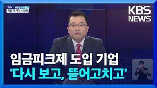 [친절한 경제] 대기업 반이 도입한 임금피크제…소송 얼마나 가능할까? / KBS  2022.05.31.