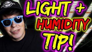 DON’T FORGET ABOUT THIS TIP WHEN ADJUSTING YOUR LIGHTS! | BONUS SOIL TIP