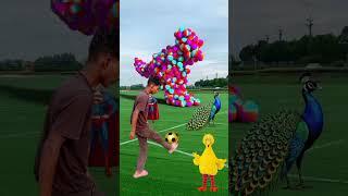 the mascot vibrato aisstant placedonthe football field is popular products new sap video viral