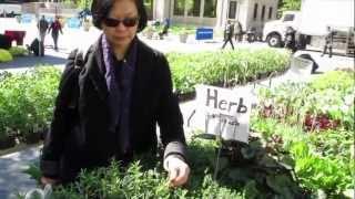 Union Square Green Market New York City