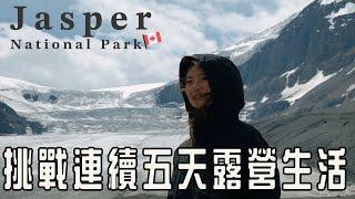 加拿大Jasper國家公園五天四夜露營體驗！從班夫到Jasper的冰原大道 世界最壯觀的公路之一！露營的真實生活、第一次近距離遇到灰熊