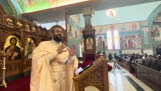 Sunday After Theophany - Fr. Nektarios Najjar