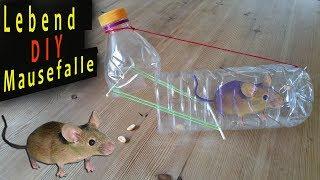 Mausefalle + lebende MAUS fangen +Tutorial