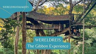 The Gibbon Experience - Laos  | Slapen in een boomhut en ziplinen door de jungle | Wereldreis #5