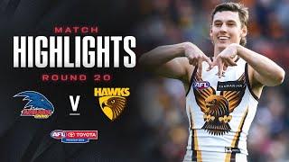 Adelaide v Hawthorn Highlights | Round 20, 2024 | AFL