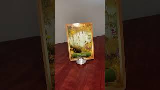 #422 Leo - Energy Oracle Message, Blossoming abundance