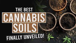 The Cannabis Connoisseur’s Guide to the Best Growing Soils!