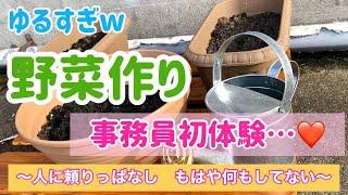 【運送会社・事務員がお届けする】気ままに初めての野菜作り！