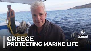 Marine ecosystem in danger: Fishermen launch initiative to protect sea in Amorgos