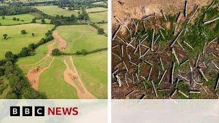 What happens when you set a river free? | BBC News