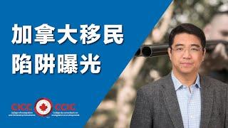 加拿大移民陷阱曝光｜十大移民欺诈案例