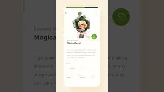 Flower Store Mobile Application Design