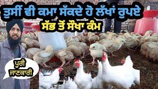 ਸੱਭ ਤੋਂ ਸੌਖਾ ਕੰਮ ਮੁਰਗੀ ਫਾਰਮ ਦਾ | Poultry Farm In Punjab | Poultry Farm Business |Ajnala| Amritsar