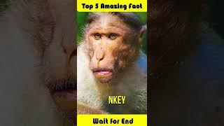 Top 5 Amazing Fact  #facts #5amazing #animals#5amzingfacts #easyfacts #new #easy #trending