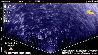 Humminbird MEGA Live Crappies / Landscape mode / Forward-facing sonar / The Technological Angler