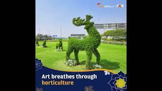 Vibrant colours of Horticulture l Delhi Airport