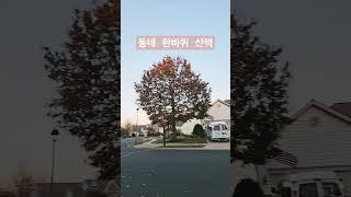 미국 동네 한바퀴 산책 #월드팬공식채널  #shortsyoutube  #shortsyoutube  #shorts
