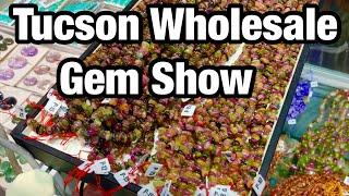 G&LW Holidome & Gem Mall Wholesale! Tucson Gem Show 2024