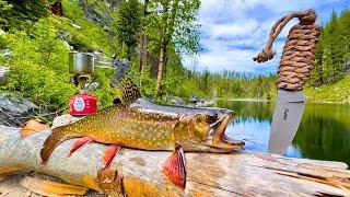 WILD Trout Catch & Cook in Remote Mountains!!! (SOLO Challenge)