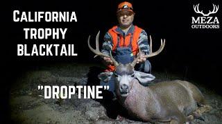 TROPHY CLASS California Blacktail Solo Hunt | Public Land "Drop Tine"