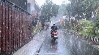 Suburbs Soaked in Heavy Rain | Walk with Peaceful Rain Sounds.